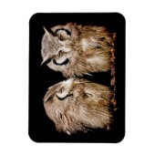 Young Owlets Magnet (Vertikal)