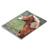 Young Palomino Colt Horse-Lover Design Notizblock (Linke Seite)