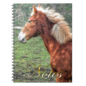Young Palomino Colt Horse-Lover Design Notizblock (Vorderseite)