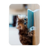 Young Persian Kitten Magnet (Vertikal)