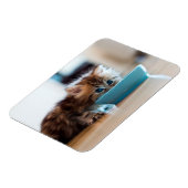 Young Persian Kitten Magnet (Linke Seite)