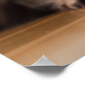 Young Persian Kitten Poster (Ecke)