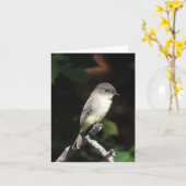 Young Phoebe blank inside Karte (Gelbe Blume)