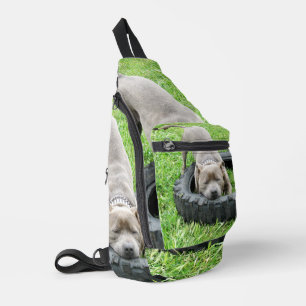 Young Playful Staffordshire Bull Terrier, Crossbody Bag