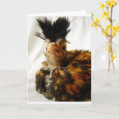 Young Polska Karte (Gelbe Blume)