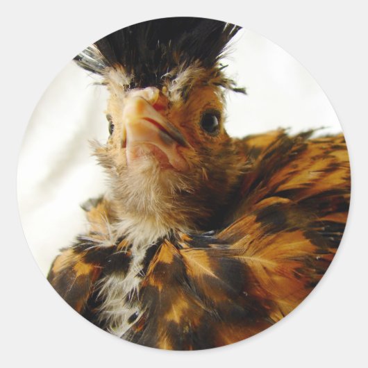 Young Polska Runder Aufkleber (Vorderseite)