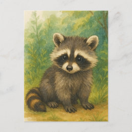 Young Raccoon Baby Wild Animals Postkarte