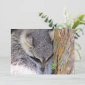 Young Raccoon Sleeping Flat Card (Stehend Vorderseite)