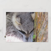 Young Raccoon Sleeping Flat Card (Vorne/Hinten)