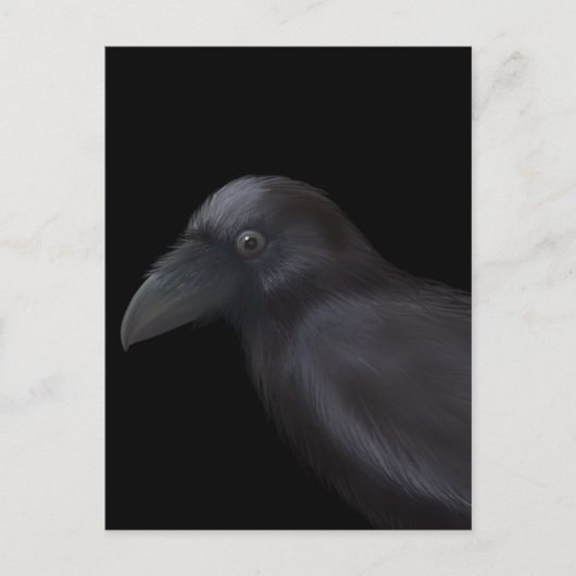 Young Raven Postkarte (Vorderseite)