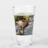 Young Red Deer am Fluss Glas (Rückseite)