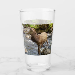 Young Red Deer am Fluss Glas