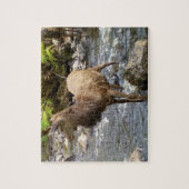 Young Red Deer am Fluss Jigsaw Puzzle (Vertikal)