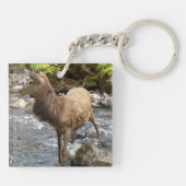 Young Red Deer am Fluss Schlüsselanhänger (Rückseite)