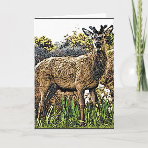 Young Red Deer Grußkarte Karte