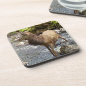 Young Red Deer on River Hard Plastic 6 Untersetzer (Linke Seite)