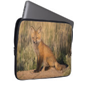 Young Red Fox bei Golden Hour Laptopschutzhülle (Vorne Rechts)