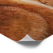 Young Red Fox Carolina Wren Bird Watercolor 11x14 Poster (Ecke)