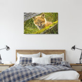 Young Red Fox durch den Zaun auf San Juan Leinwanddruck (Insitu (Schlafzimmer))