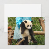 Young Riese Panda Postcard Postkarte (Vorne/Hinten)