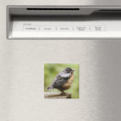 Young Robin Magnet (In Situ (Geschirrspüler))