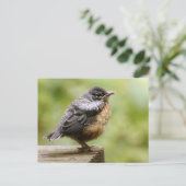Young Robin Postkarte (Stehend Vorderseite)