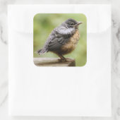 Young Robin Quadratischer Aufkleber (Tasche)