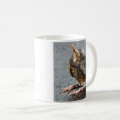 Young Robin sucht Tasse (VorderseiteRechts)
