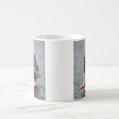 Young Robin sucht Tasse (Mittel)