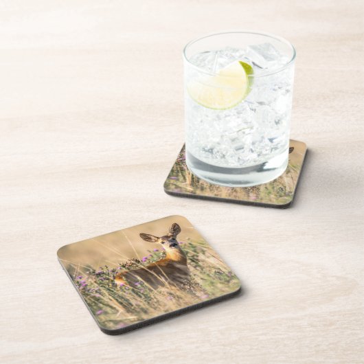 Young Roe Deer in Meadow Getränkeuntersetzer (Rechte Seite)