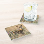 Young Roe Deer in Meadow Glasuntersetzer (Schrägansicht)