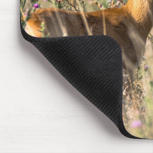 Young Roe Deer in Meadow Mousepad (Ecke)