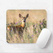 Young Roe Deer in Meadow Mousepad (Mit Mouse)