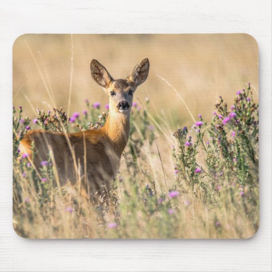 Young Roe Deer in Meadow Mousepad (Vorne)