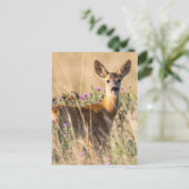 Young Roe Deer in Meadow Postkarte (Stehend Vorderseite)