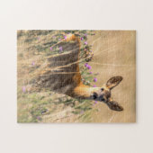 Young Roe Deer in Meadow Puzzle (Horizontal)