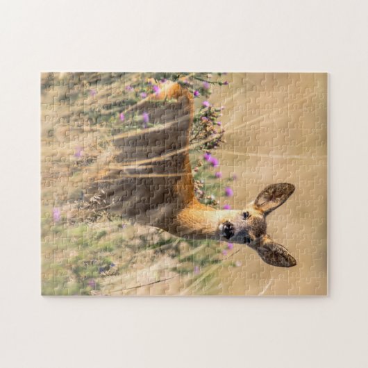 Young Roe Deer in Meadow Puzzle (Horizontal)