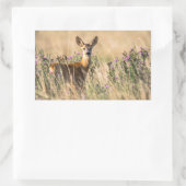 Young Roe Deer in Meadow Rechteckiger Aufkleber (Tasche)