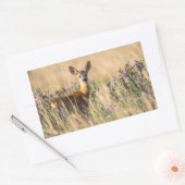Young Roe Deer in Meadow Rechteckiger Aufkleber (Umschlag)