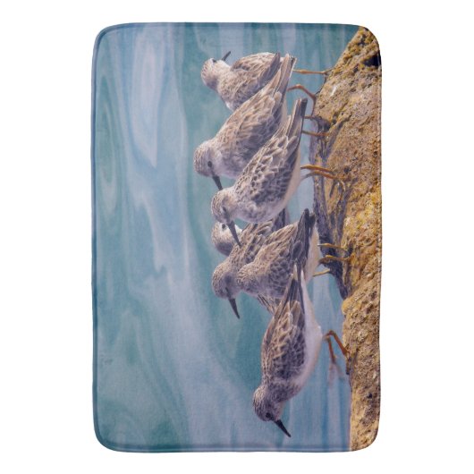 Young Ruddy Turnstones Badematte (Vorderseite Vertikal)