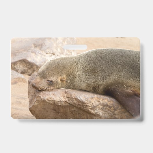 Young sea lion ausweis (Vorderseite)