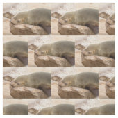 Young Sea Löwe Stoff (Muster)