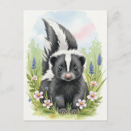 Young Skunk Baby Wild Animals Postcard Postkarte