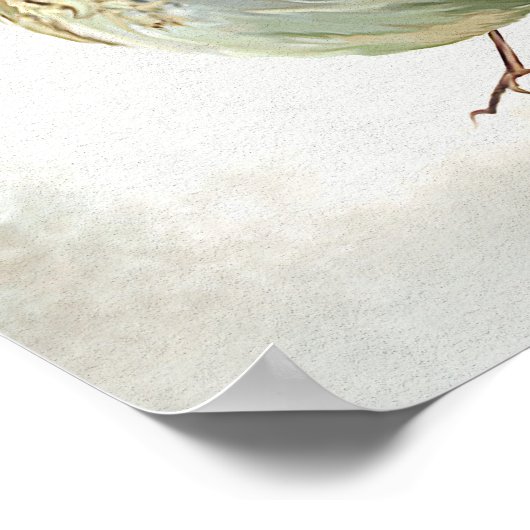 Young Song Thrush in snow Poster (Ecke)