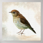 Young Song Thrush in snow Poster (Vorne)