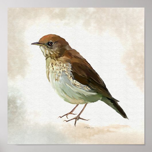 Young Song Thrush in snow Poster (Vorne)