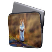 Young Squirrel Stehend Tal Laptopschutzhülle (Vorderseite Links)