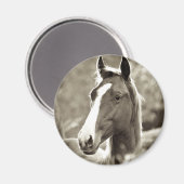 Young Stallion Magnet (Vorderseite/Rückseite)