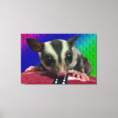 Young Sugar Glider Leinwand (Vorderseite)