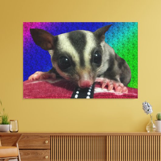 Young Sugar Glider Leinwand (Insitu (Wohnzimmer))